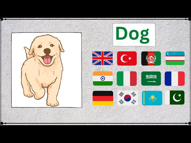 How to say Dog 🐶 in different Languages? | Language Animated