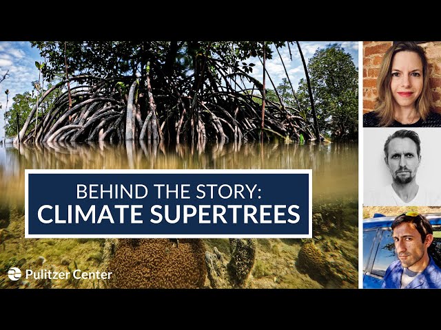 Behind the Story: Climate Supertrees