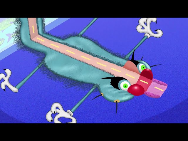 Oggy and the Cockroaches 😅 CAT OR CAR - Full Episodes HD
