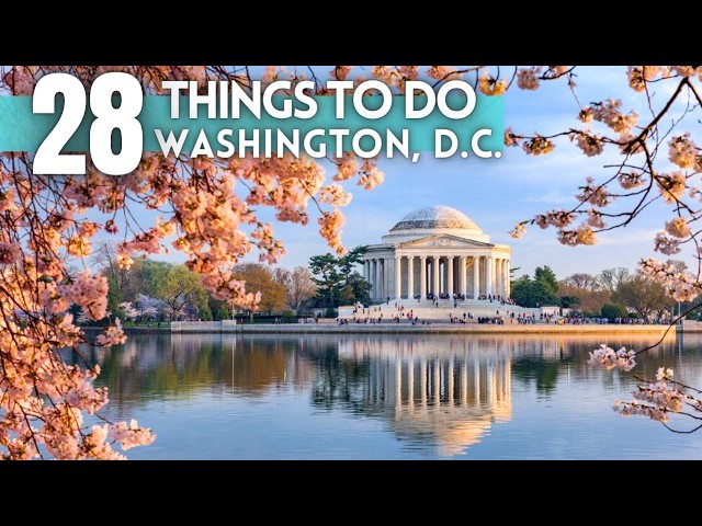 Best Things To Do in Washington DC 2024