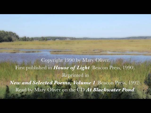 Mary Oliver reads "The Summer Day" (aka "The Grasshopper")