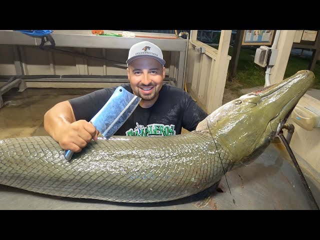 CLEANING AND FILLETING ALLIGATOR GAR FROM START TO FINISH