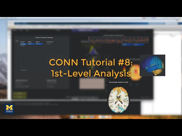 CONN Tutorial #8: 1st-Level Analysis