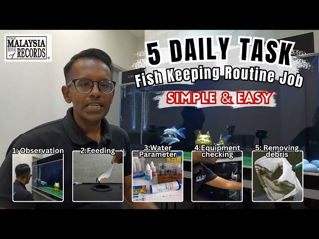 5 Daily Fishkeeping Routine Tasks