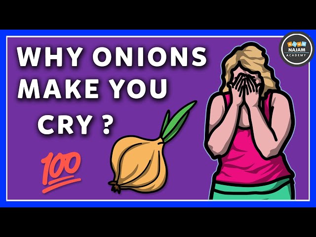 Why do Onions make you CRY?