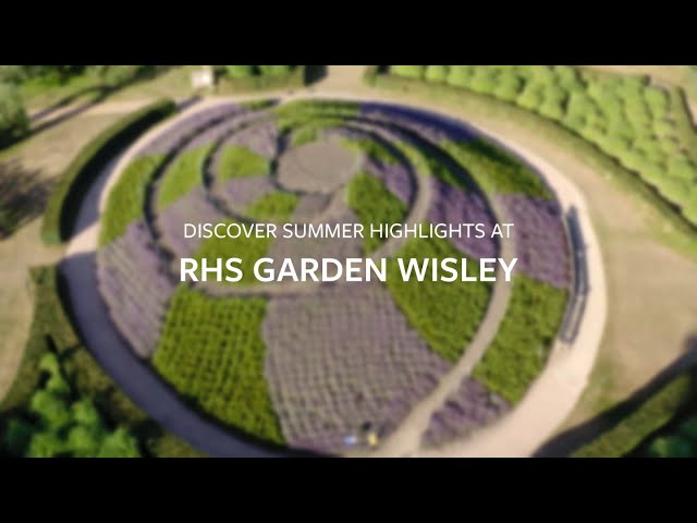 Summer highlights at RHS Garden Wisley | The RHS