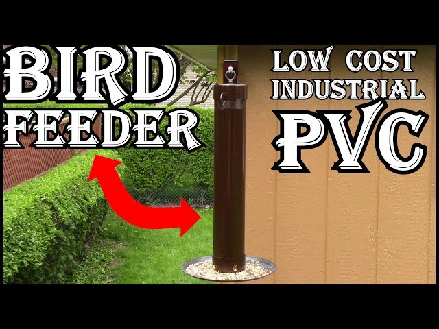 Diy Low  Cost PVC Bird Feeder