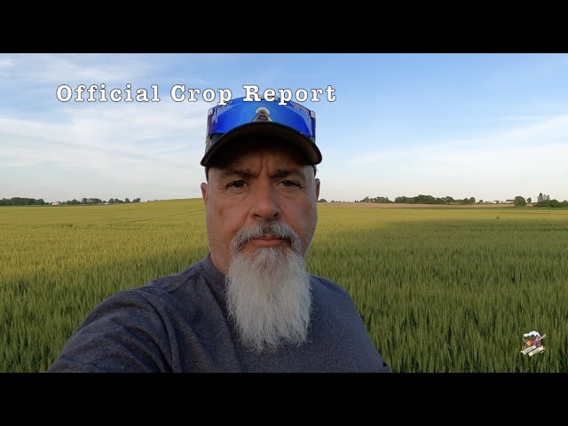 Official Crop Report for June 4, 2022