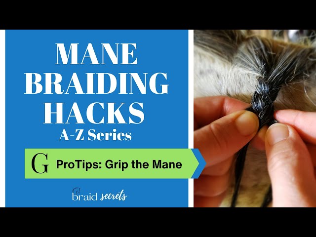 Mane Braiding Hacks Series A-Z - Letter G, Pro Tips for Gripping the Mane