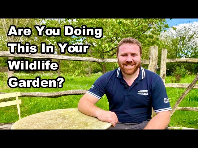 Do This To Benefit WILDLIFE In YOUR GARDEN