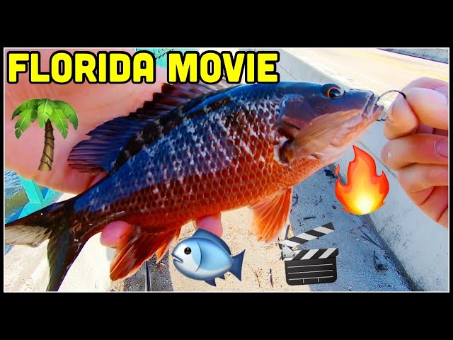 Fishing in Florida: An Angler's Escape (The Movie)