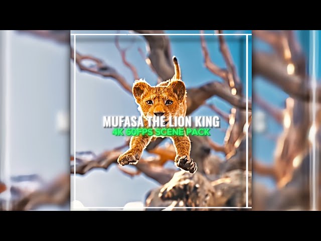 MUFASA: THE LION KING | 4K60FPS TWIXTOR | FREE CLIP