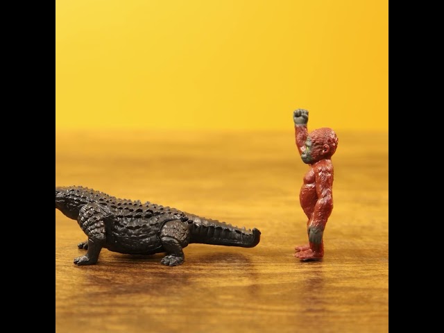 SUKO Toys Godzilla×Kong  #godzilla