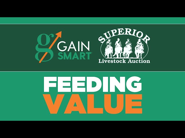 FEEDING VALUE - The First Ever Value Added Nutrition Program