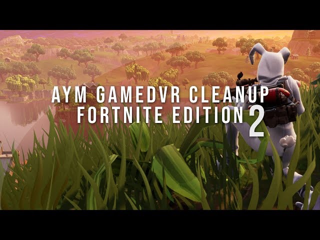 Aym GameDVR Cleanup Fortnite Edition 2