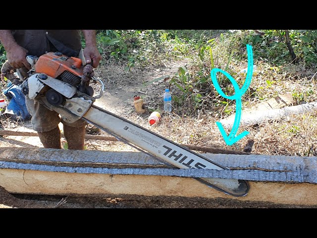 Nice Wood Working Cutting Machine Sawing Palm Tree Chainsaw STIHL MS070