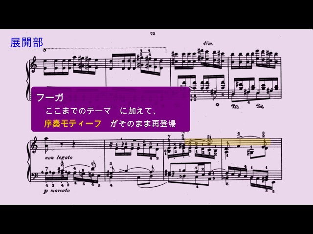 【ピアノの最難曲】シューマン トッカータOp.7 ハ長調（ｿﾅﾀ形式解説）