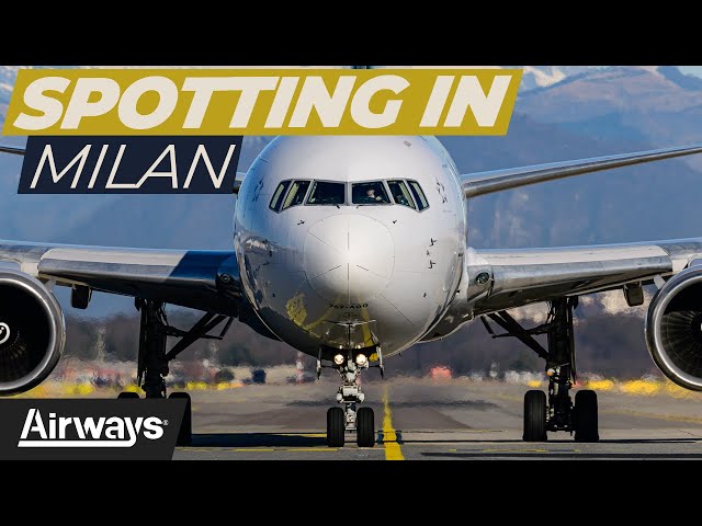 4K Plane Spotting Session in Malpensa | #Aviation