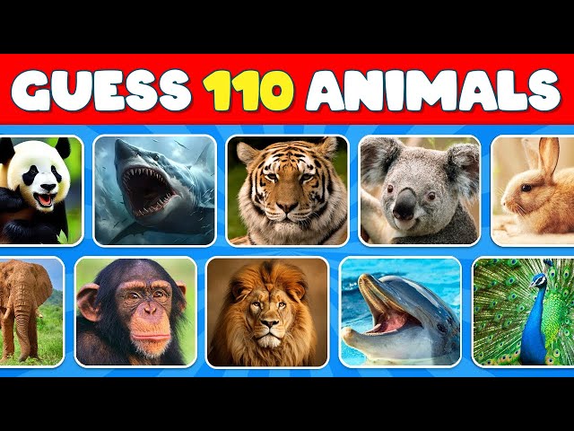 Guess the 110 Animals in 3 second 🐶🐵🐈 Easy, Medium, Hard, Impossible | OCEAN QUIZ
