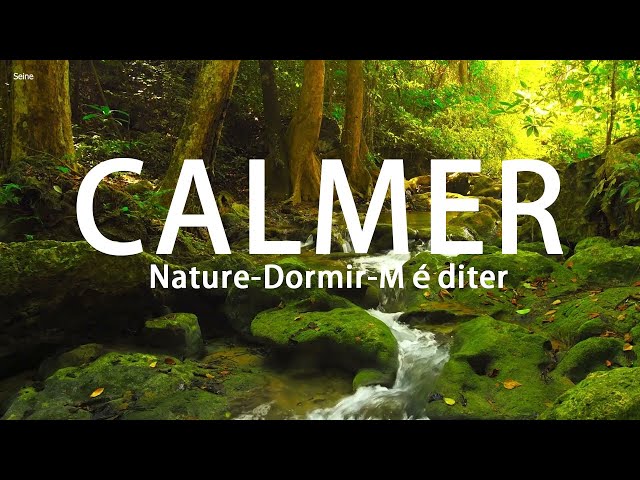 Musique Relaxante Pour Calmer L'esprit ♫ Sons de la Nature - Dormir, Méditer
