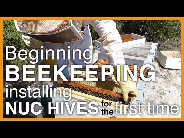 Beginning Beekeeping: Installing Two Nuc (Starter) Hives - GSB S1 E2