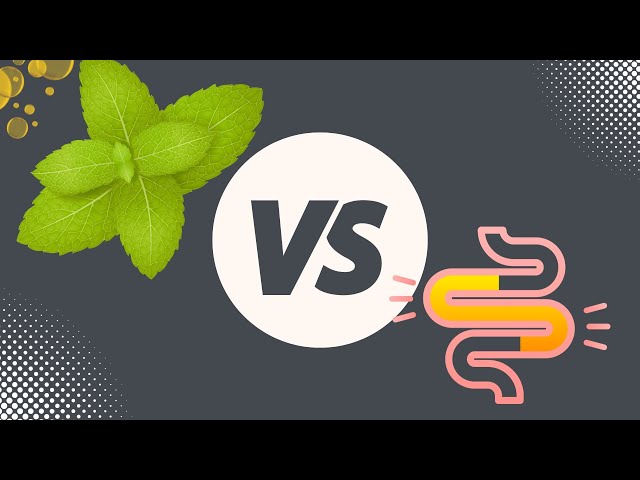 Peppermint VS SIBO: Research and Clinical Experience