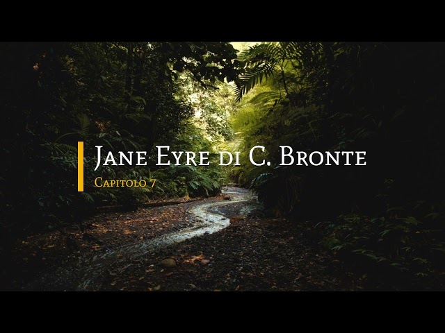 Jane Eyre di Charlotte Bronte - Capitolo 7 di 38
