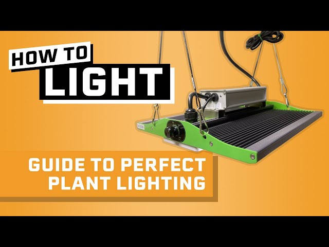 Daily Light Integral Explained - The BEST Way to Measure Plant Lighting for Hydroponics