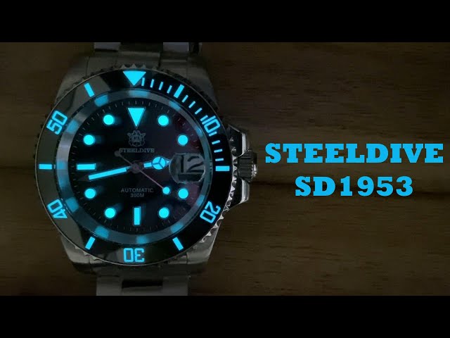 SteelDive SD1953 Review– Do you get what you pay for?