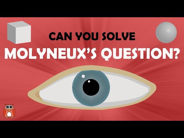 Molyneux's Question - Can It Be Solved?