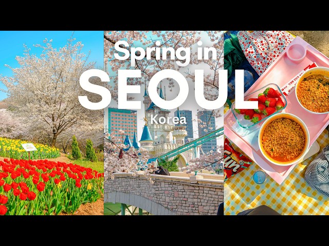 Life in Seoul 🌸 | Visiting cherry blossom spots, aesthetic cafes, Hangang picnic, Suwon| KOREA VLOG