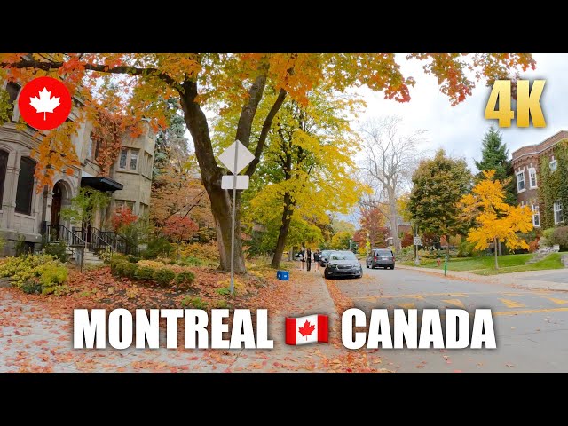 Autumn Canada 🇨🇦 Montreal Walking Tour (HDR 4K60 PFS) Amazing Residential Area Walk 2022