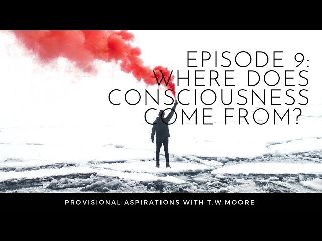 Episode 9: Where Does Consciousness Come From?