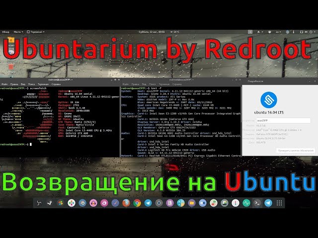 Ubuntarium: Возвращение домой