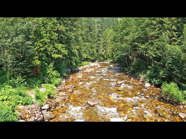 TOO PERFECT to be REAL - A stream you only see in dreams! 2 month camping trip - part 23