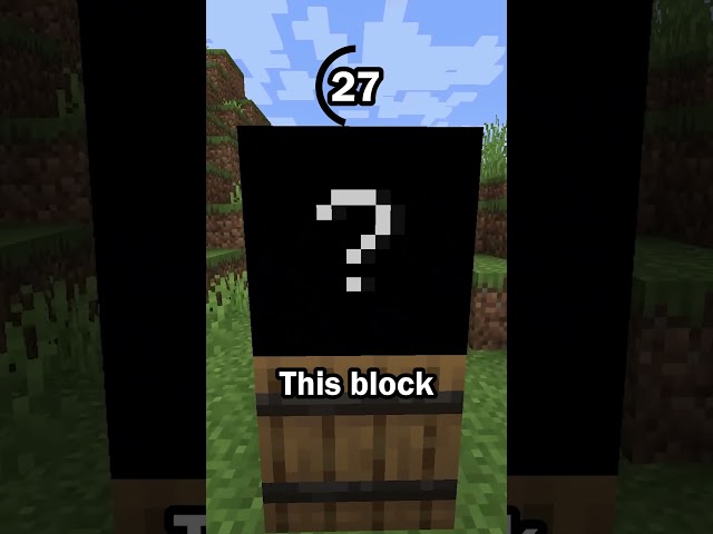 Guess the Minecraft block in 60 seconds 3