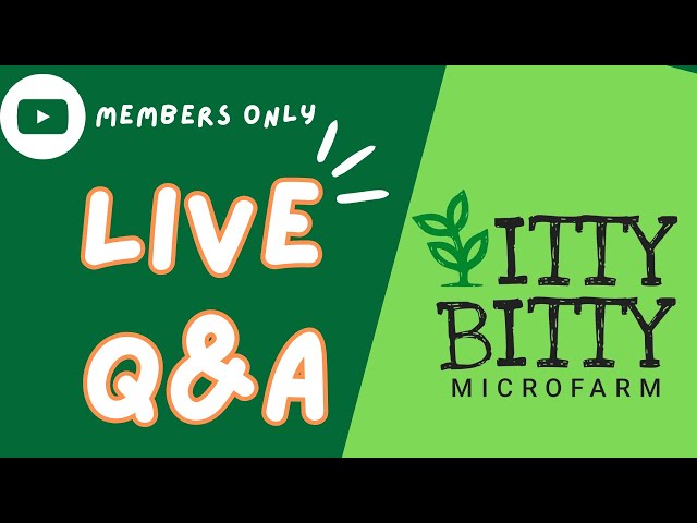 All Members Live Q&A Session
