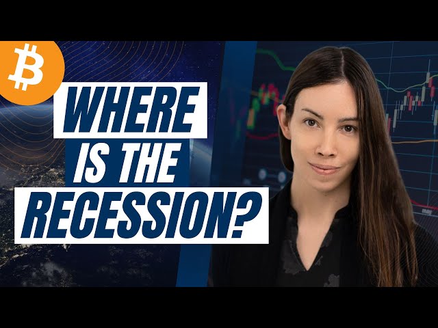 Why Have We Not Seen a Recession Yet? with Lyn Alden