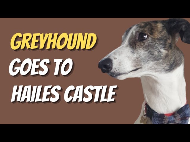 Greyhound  - Magnus goes to Hailes Castle