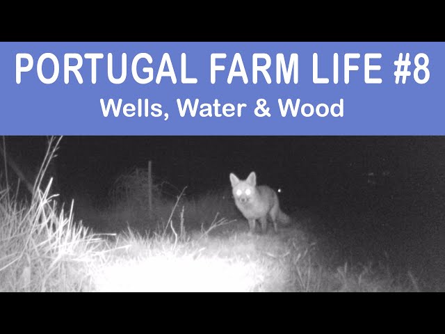 Wells, Water & Wood | Portugal Farm Life 2-08