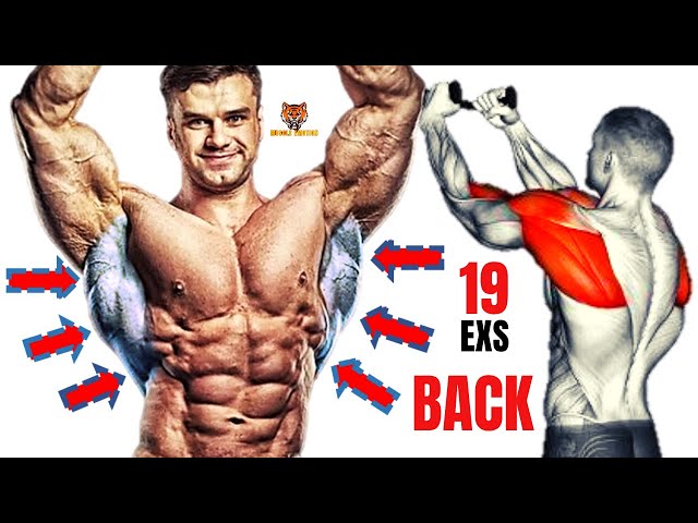 19 BEST BACK EXERCISES TO GET BIGGER BACK FAST / MUSCULATION DOS RÉSULTAT RAPIDE