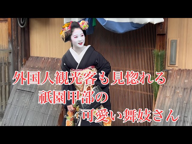 外国人観光客も見惚れる祇園甲部の可愛い舞妓さん Maiko in Gion, Kyoto 【4K】 2024/1月