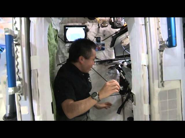 Space Station Bedroom Is 'Telephone Booth Tiny' | Video