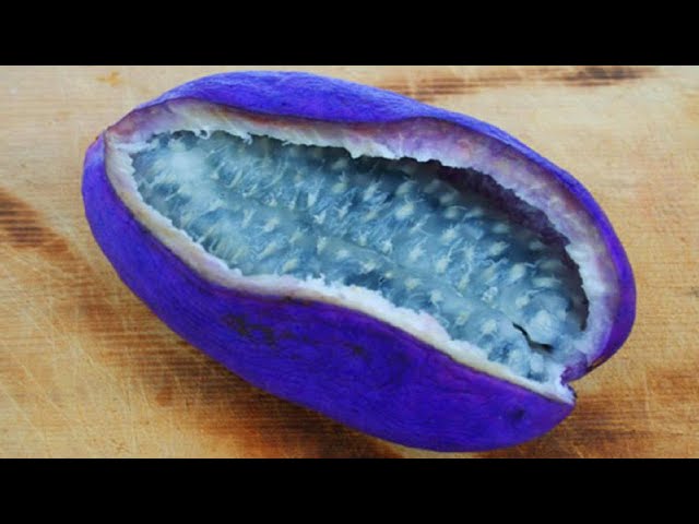THE MOST UNUSUAL FRUITS You've Never Heard Of