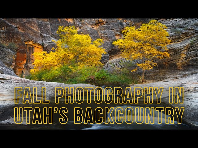 Photographing EPIC Fall Colors in a Remote Part of Utah!