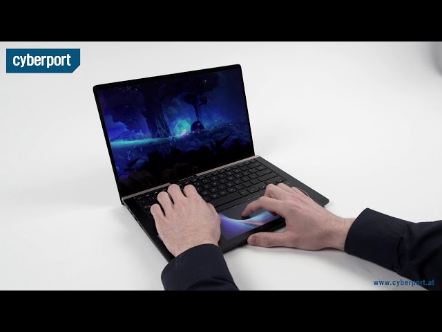 Asus ZenBook Pro 14 im Test I Cyberport