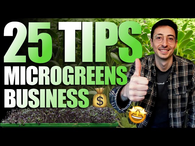 25 Quick Tips For Microgreens Business (Rapid Fire)