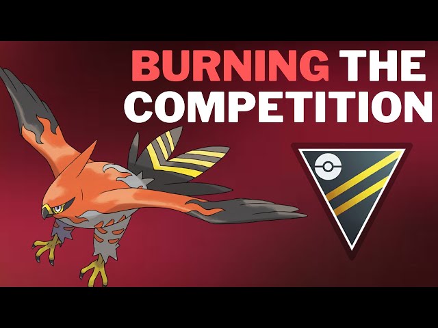 Talonflame/Swampert Core is super strong in Ultra League