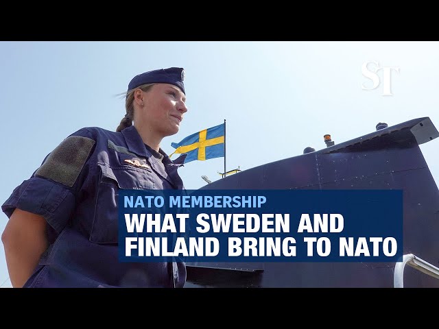 What Sweden and Finland bring to Nato