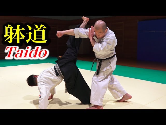 【Verification】How powerful is "Taido" kick?